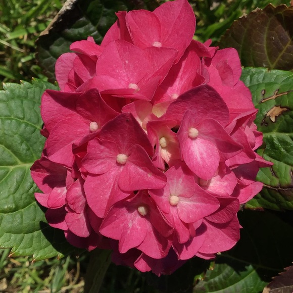 Meet your Posher, Meghan - Picture 1 of 1